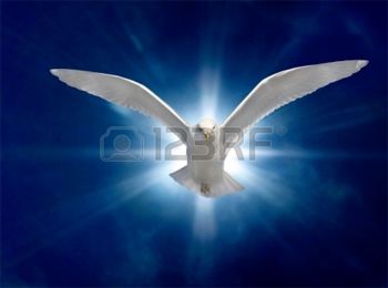 4579108-holy-spirit-bird-on-royal-blue-starburst-background