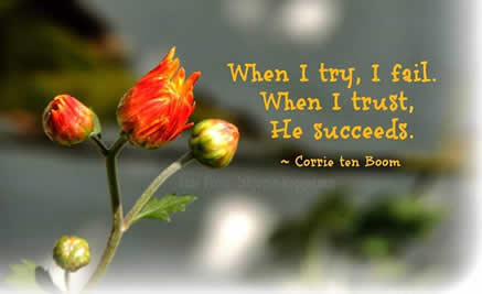 trust-