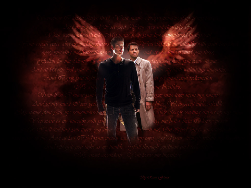 wallpaper__spn___clipped_wings_by_ravengrimm