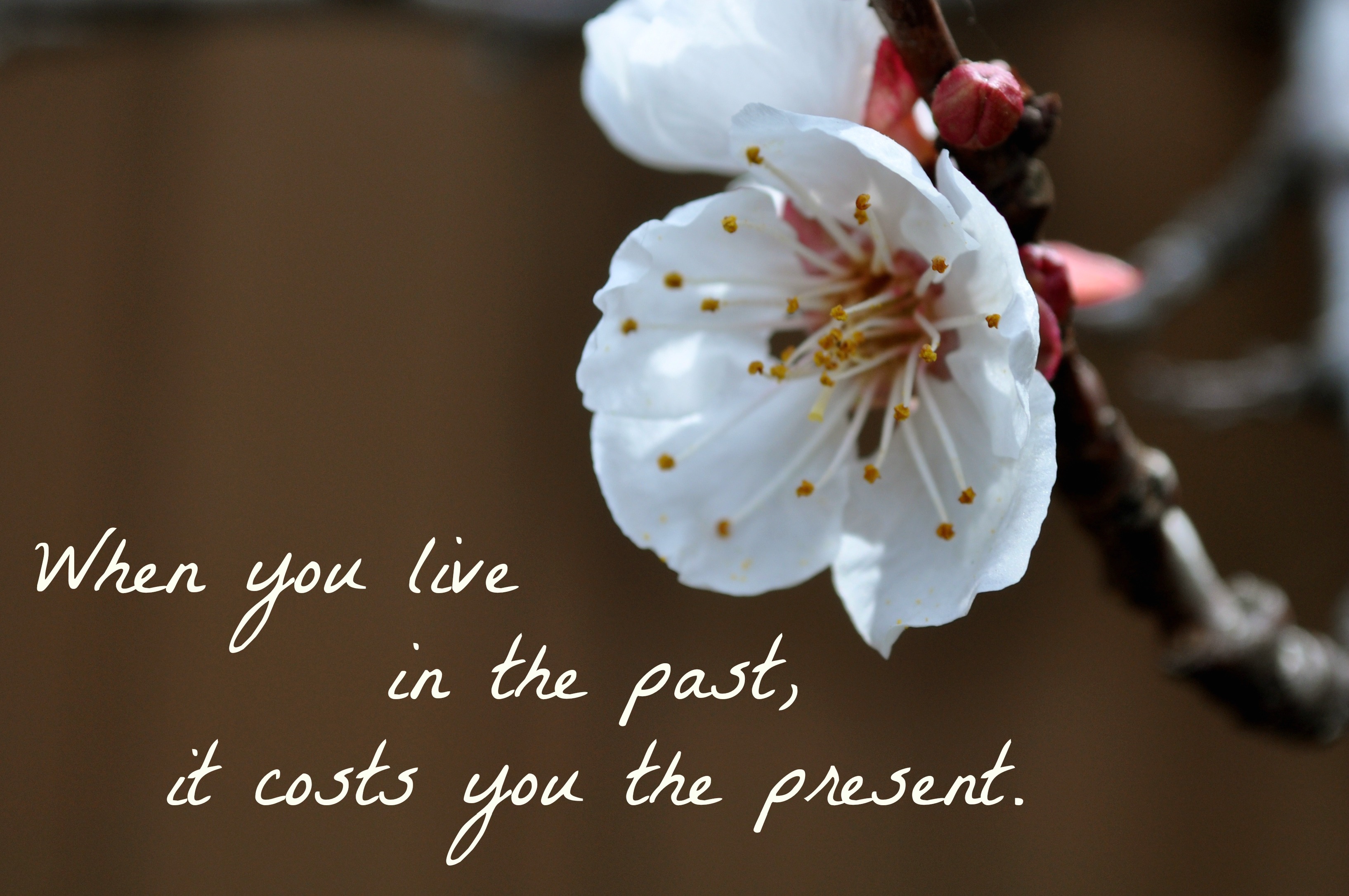 when-you-live-in-the-past-it-cost-you-the-present-simple-sojourns