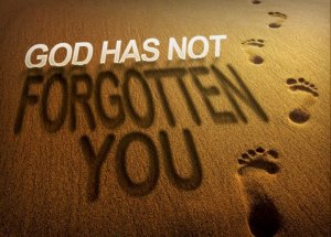 god-has-not-forgotten-you