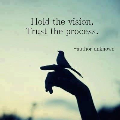 holdvision
