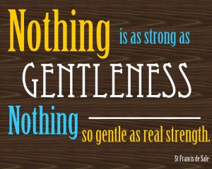nothing-as-strong-as-gentleness