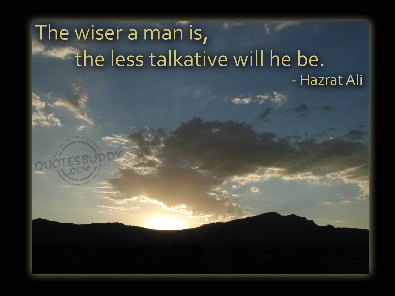 wiser-quotes-4
