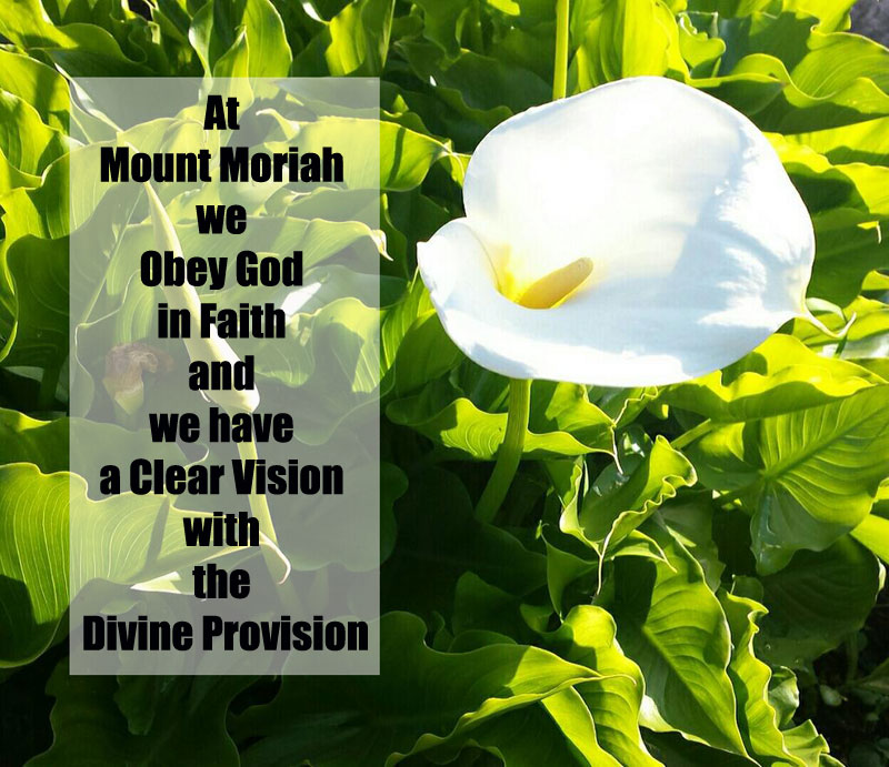 at-mount-moriah-we-obey-god-in-faith-and-we-have-a-clear-vision-with-the-divine-provision