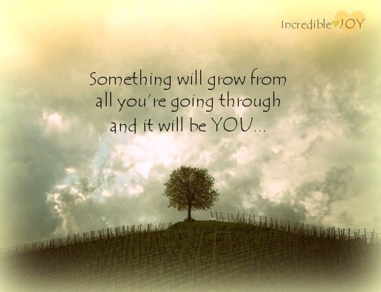 something-will-grow-from-all-you-are-going-through-and-it-will-be-you