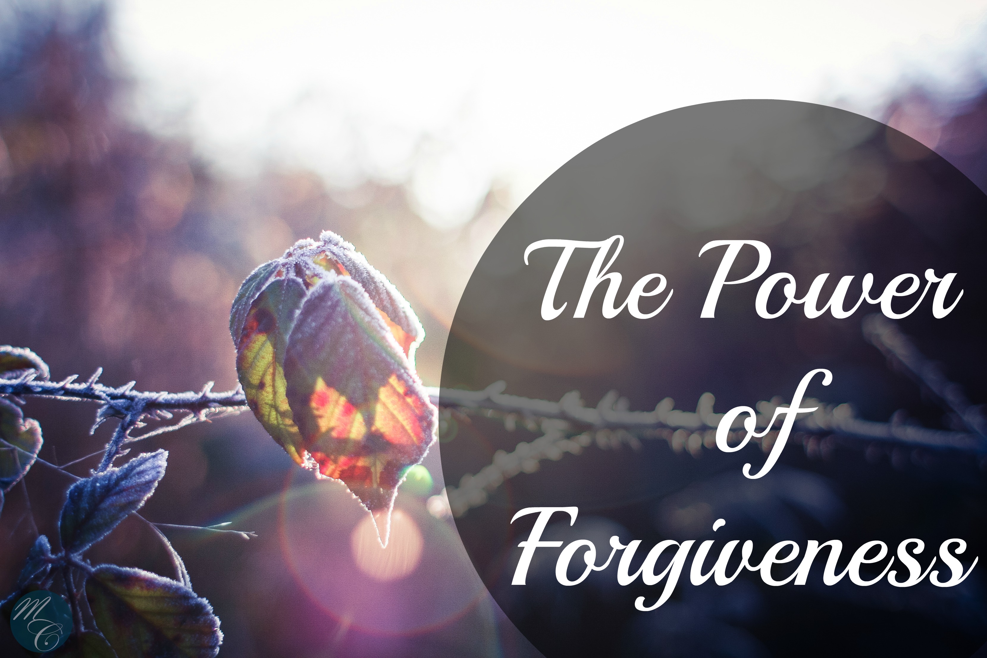 the-power-of-forgiving