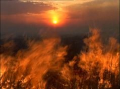 They believe Angry Demon ‘Jinni’ Razed Down The Houses