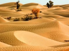 3 Bible Verses To Sustain Your Faith When You Feel ‘Dry’