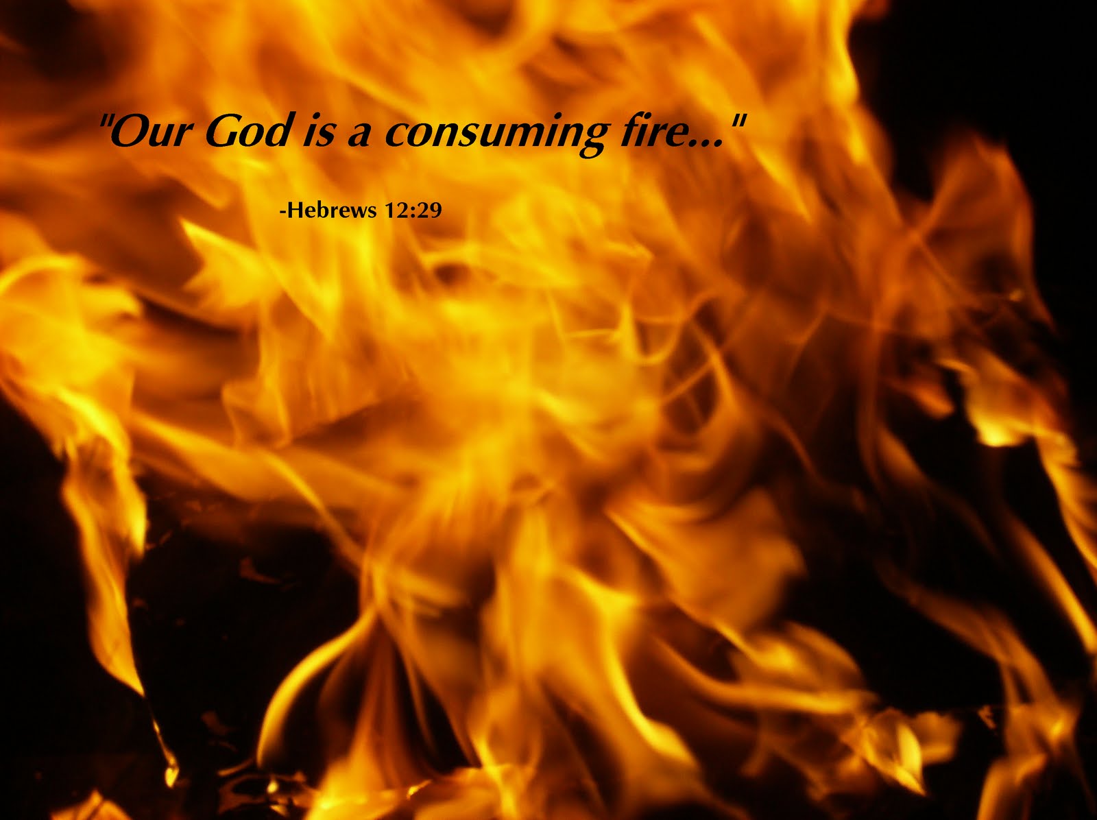 Скажи каким огнем был. Огонь поядающий. Бог наш огонь поядающий. Господь огонь поядающий. Святое пламя.