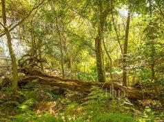 3 weak and fallen people in the Bible who can teach us about God’s amazing patience