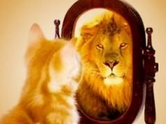 Don’t Let Fear and Self Doubt Kill Your Dreams