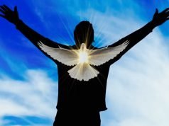 The Holy Spirit Leads Us Through the Valley of Circumstances