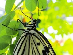 3 liberating things that you should know about yourself as a Christian