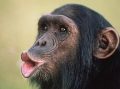 The Christian way to respond when someone is speaking badly about you