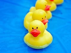 What is Following You?