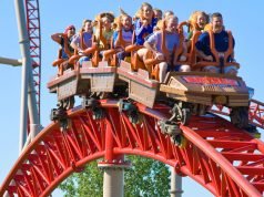 Roller Coaster Journey