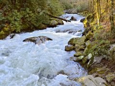 A River that Flows From the Throne of God