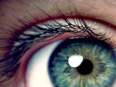 Help Me See What You See