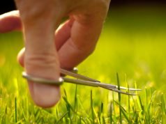 Why God Is Interested In Details