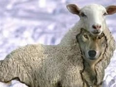 Recognizing False Teachers