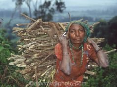 Who Do You Work For?