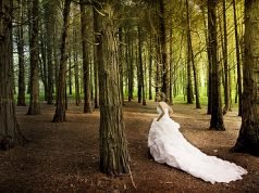 The Promise of Guidance