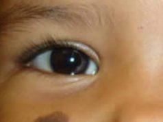 4 Birthmarks of a True Christian